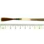 No.4 Sable Chisel Writer in Quill - Large Duck