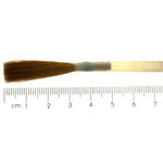 No.6 Sable Chisel Writer in Quill - Goose