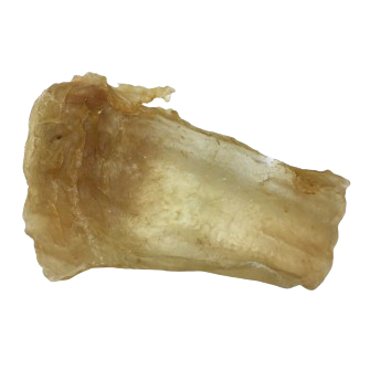 Isinglass Sturgeon (Salianski) 50 grams