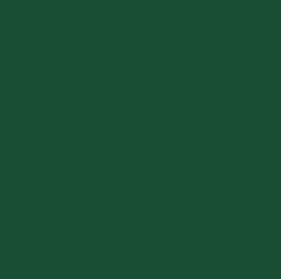 20ml Brunswick Green Acrylic Enamel Paint