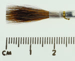 No.1 Lettering Quill