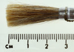 No.8 Mixed Hair Quill