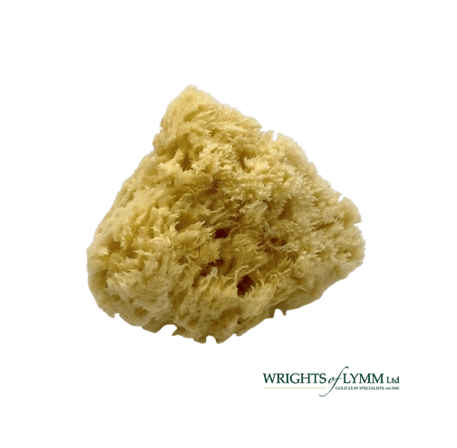 Extra Large Natural Sea Sponge