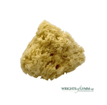 Extra Large Natural Sea Sponge