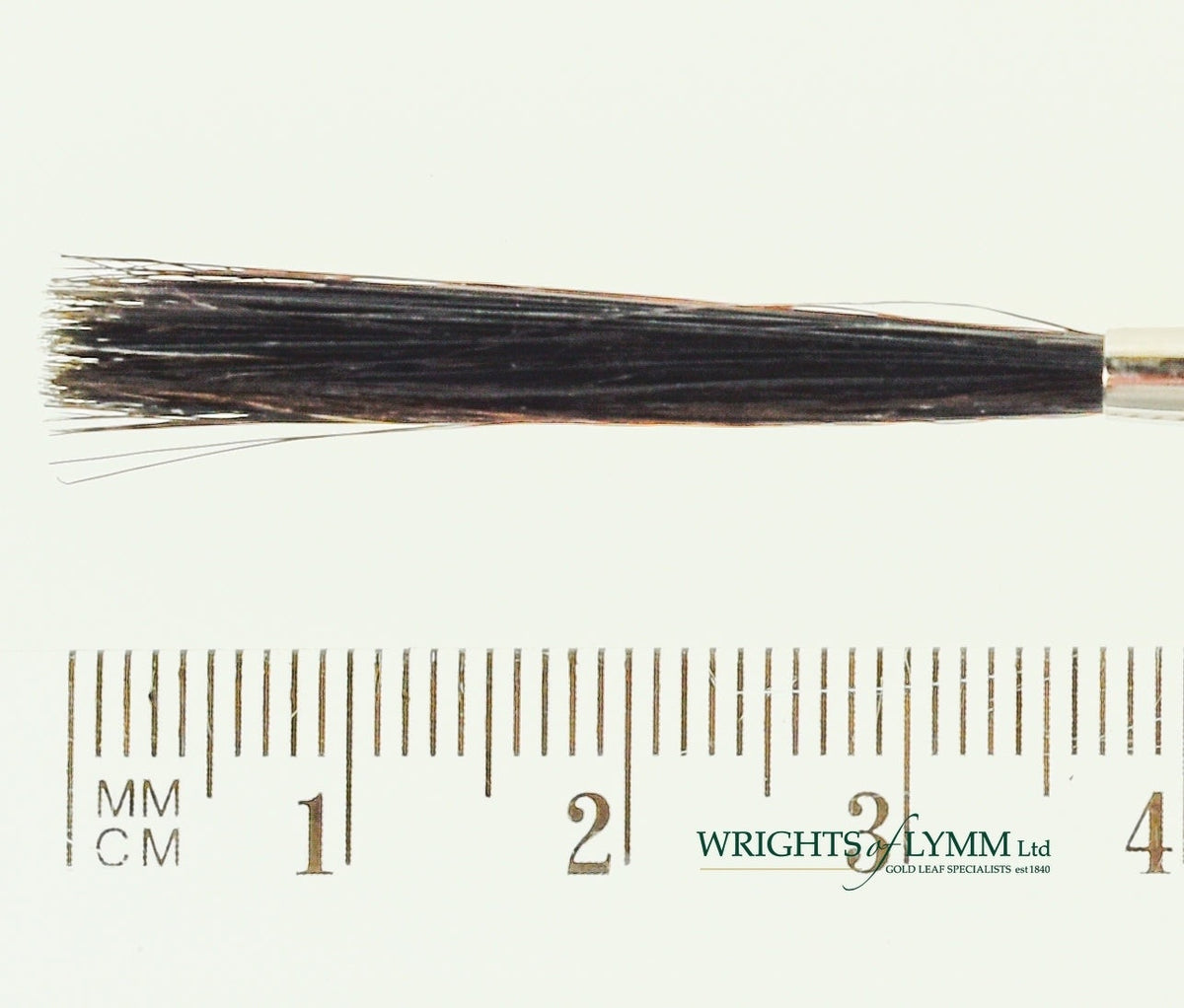 No.5 Outliner