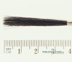 No.5 Outliner