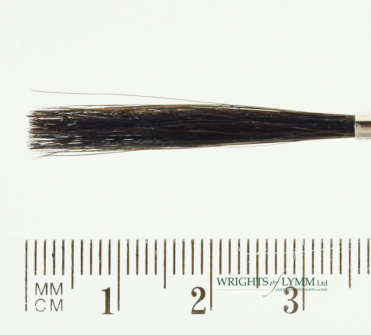 No.4 Outliner