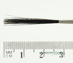 No.1 Outliner